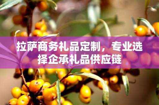 拉萨商务礼品定制，专业选择企承礼品供应链