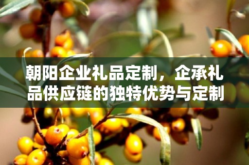朝阳企业礼品定制，企承礼品供应链的独特优势与定制之旅