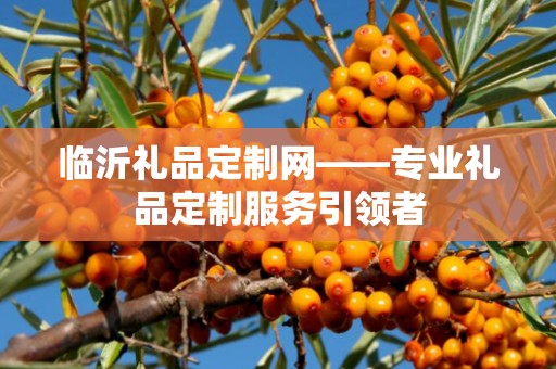 临沂礼品定制网——专业礼品定制服务引领者