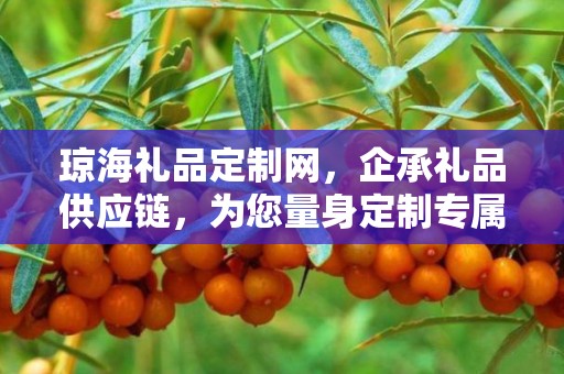 琼海礼品定制网，企承礼品供应链，为您量身定制专属礼品