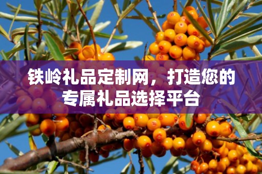 铁岭礼品定制网，打造您的专属礼品选择平台