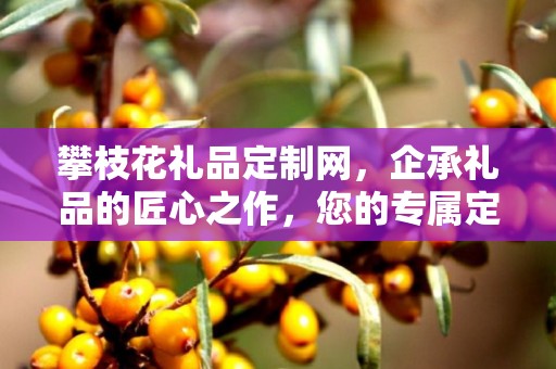 攀枝花礼品定制网，企承礼品的匠心之作，您的专属定制专家