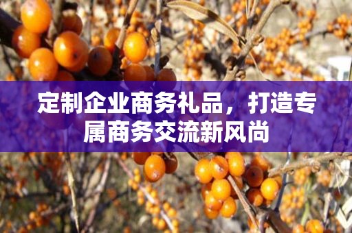 定制企业商务礼品，打造专属商务交流新风尚