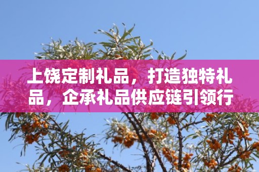 上饶定制礼品，打造独特礼品，企承礼品供应链引领行业新风尚
