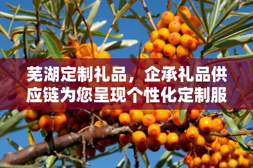 芜湖定制礼品，企承礼品供应链为您呈现个性化定制服务