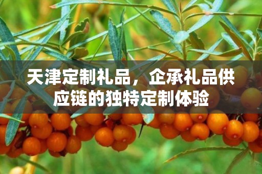 天津定制礼品，企承礼品供应链的独特定制体验