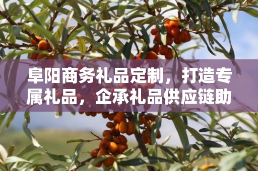 阜阳商务礼品定制，打造专属礼品，企承礼品供应链助力商务往来