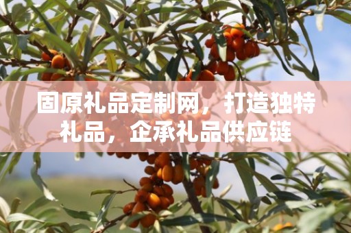 固原礼品定制网，打造独特礼品，企承礼品供应链