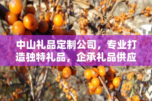 中山礼品定制公司，专业打造独特礼品，企承礼品供应链引领行业新风尚
