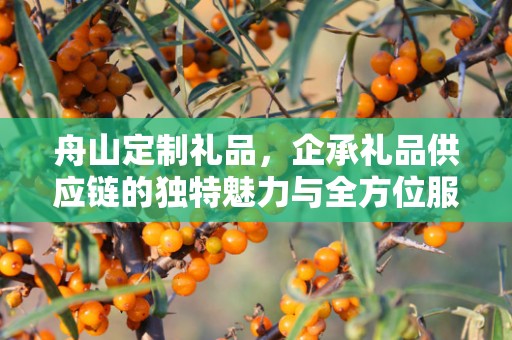 舟山定制礼品，企承礼品供应链的独特魅力与全方位服务