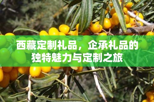 西藏定制礼品，企承礼品的独特魅力与定制之旅