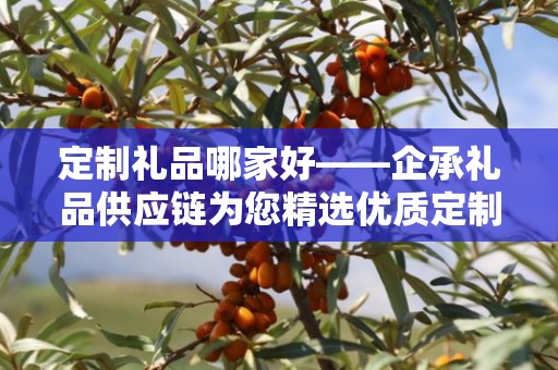定制礼品哪家好——企承礼品供应链为您精选优质定制服务