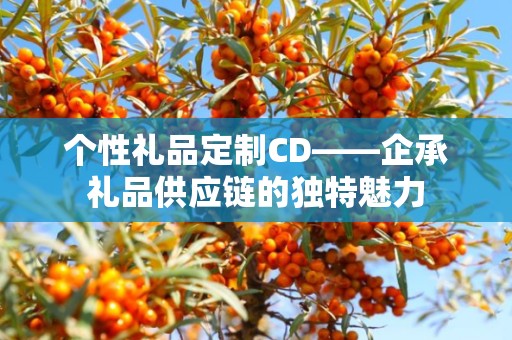 个性礼品定制CD——企承礼品供应链的独特魅力