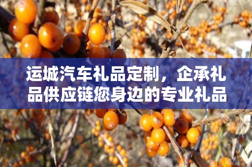 运城汽车礼品定制，企承礼品供应链您身边的专业礼品定制公司