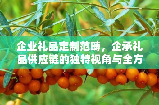 企业礼品定制范畴，企承礼品供应链的独特视角与全方位服务