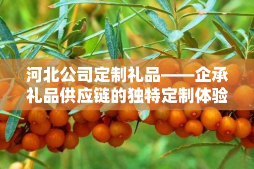 礼品采购定制渠道，企承礼品供应链的独特优势与解决方案