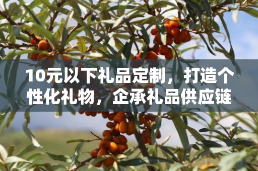 10元以下礼品定制，打造个性化礼物，企承礼品供应链助力您的选择